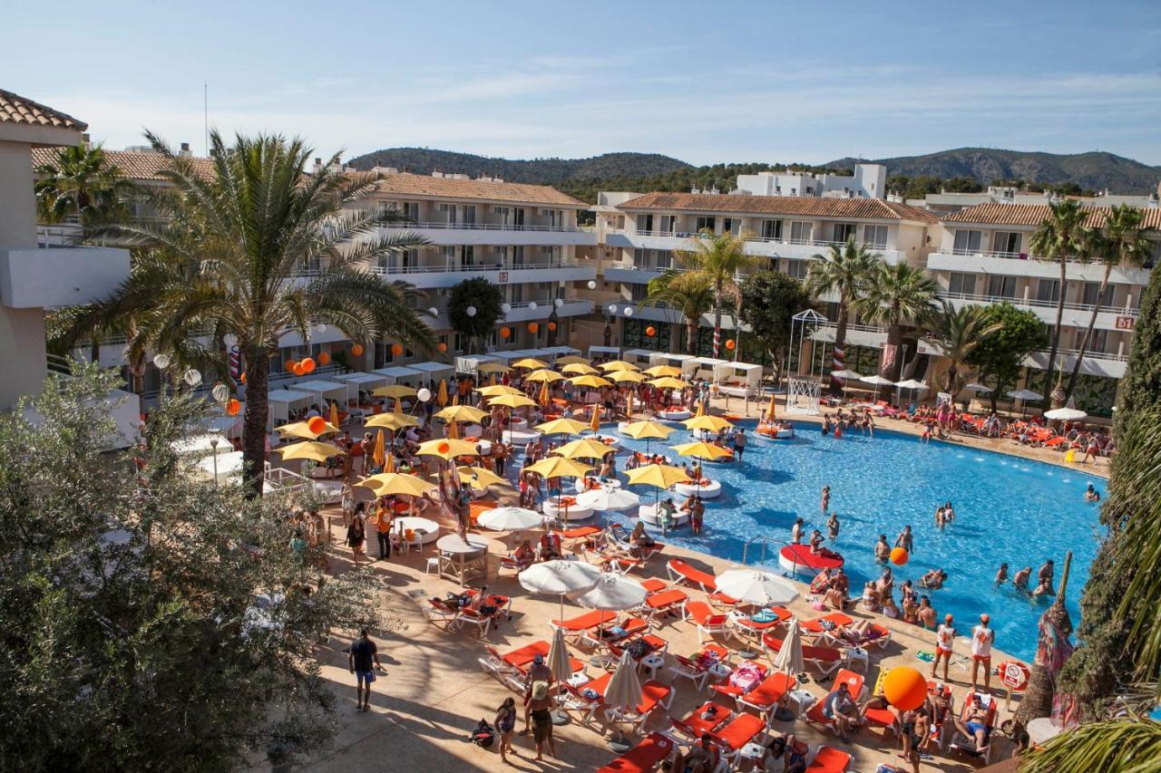 Bh Mallorca Affiliated By Fergus (adults Only) Apartment *